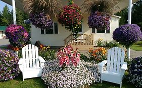 Sunset Motel At Armand'S Gardens